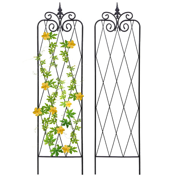 Charlton Home® Cayley 59" H x 15" W Garden Trellis, Iron Lattice Panel